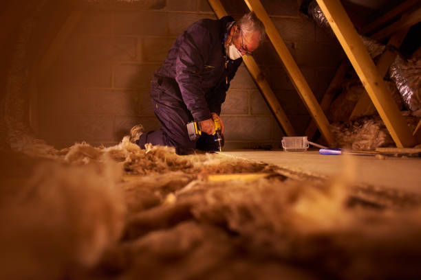 Best Geographic-Specific Insulation Services in Marion, IN
